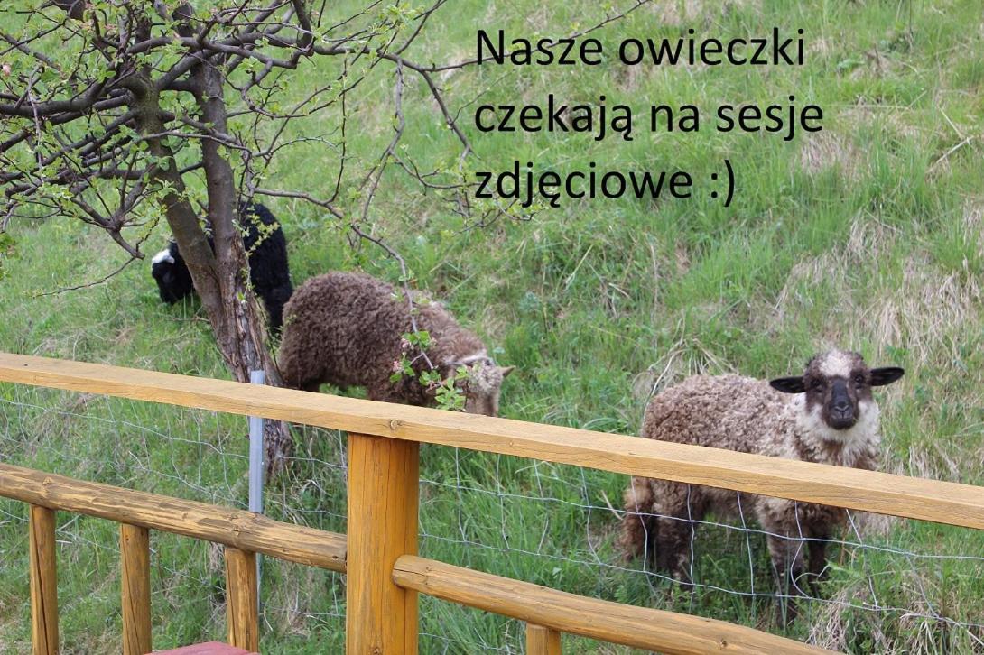 Domki Pod Zielonym Wierchem Zakopane Bagian luar foto